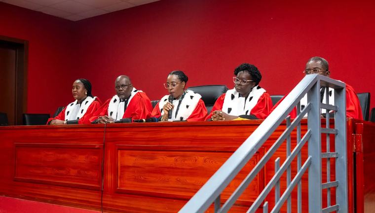 Journalistes de France 5 arrêtés au Togo : Libérés, leur avocat parle de malentendu