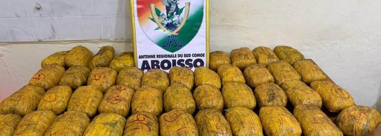 41 blocs de cannabis cachés dans des sacs de charbon saisis à Aboisso